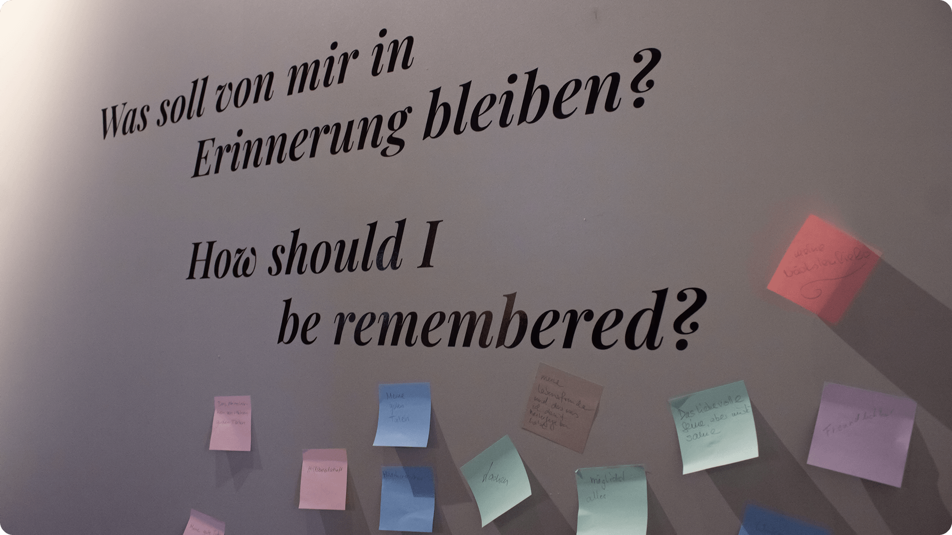 vergiss mein nicht6